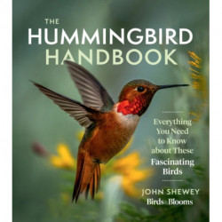The Hummingbird Handbook: Everything You Need to Know about These Fascinating Birds