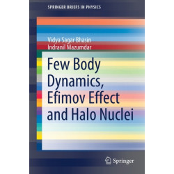 Few Body Dynamics, Efimov Effect and Halo Nuclei
