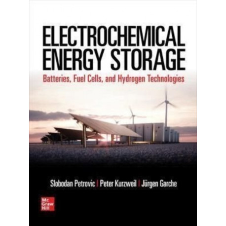 Electrochemical Energy Storage