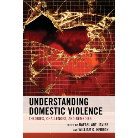 Understanding Domestic Violence: Theories, Challenges, and Remedies