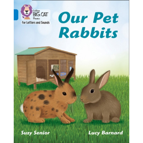 Our Pet Rabbits: Band 04/Blue