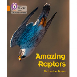 Amazing Raptors: Band 06/Orange