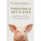 Through A Vet’s Eyes: How to care for animals and treat them better
