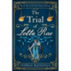 The Trial of Lotta Rae: The unputdownable historical novel