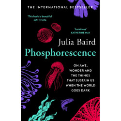 Phosphorescence: On Awe, Wonder & Things That Sustain You When the World Goes Dark