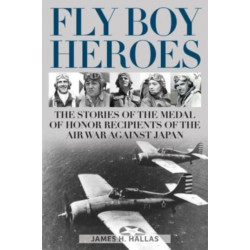 Fly Boy Heroes: The Stories of the Medal of Honor Recipients of the Air War against Japan