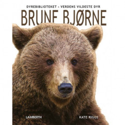 Brune bjørne