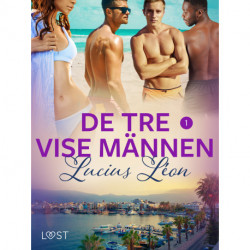 De tre vise männen 1 - erotisk novell