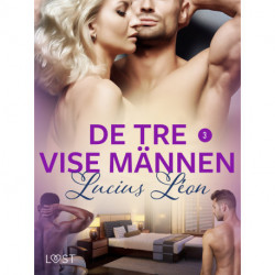 De tre vise männen 3 - BDSM erotik