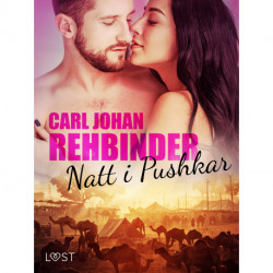 Natt i Pushkar - erotisk novell