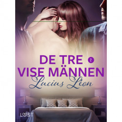 De tre vise männen 2 - BDSM erotik
