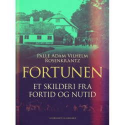 Fortunen. Et skilderi fra fortid og nutid