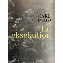 En eksekution