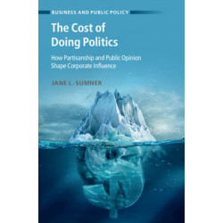 The Cost of Doing Politics: How Partisanship and Public Opinion Shape Corporate Influence
