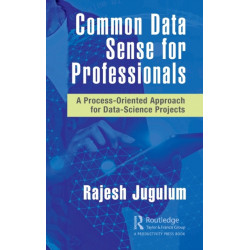 Common Data Sense for Professionals: A Process-Oriented Approach for Data-Science Projects
