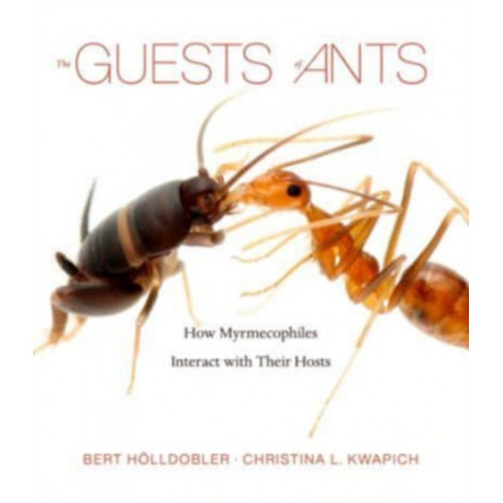 The Guests of Ants: How Myrmecophiles Interact with Their Hosts