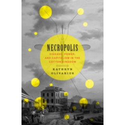 Necropolis: Disease, Power, and Capitalism in the Cotton Kingdom