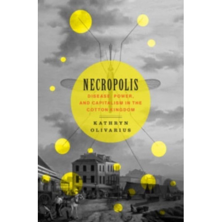 Necropolis: Disease, Power, and Capitalism in the Cotton Kingdom