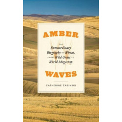 Amber Waves: The Extraordinary Biography of Wheat, from Wild Grass to World Megacrop