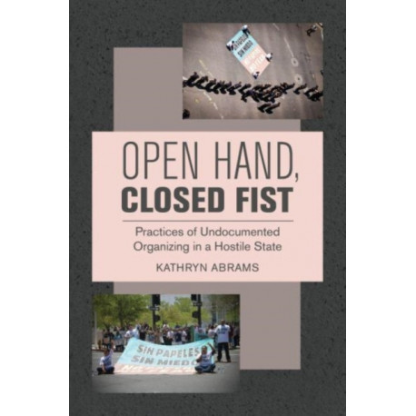 Open Hand, Closed Fist: Practices of Undocumented Organizing in a Hostile State