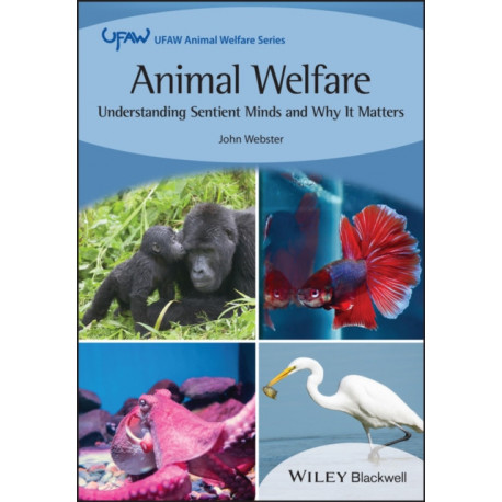 Animal Welfare: Understanding Sentient Minds and Why It Matters