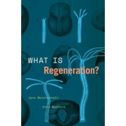 What Is Regeneration?