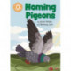 Reading Champion: Homing Pigeons: Independent Reading Orange 6 Non-fiction