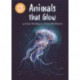 Reading Champion: Animals that Glow: Independent Reading Orange 6 Non-fiction
