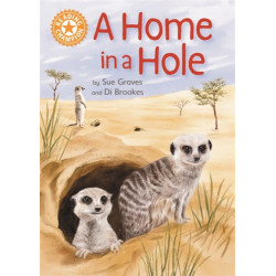 Reading Champion: A Home in a Hole: Independent Reading Orange 6 Non-fiction