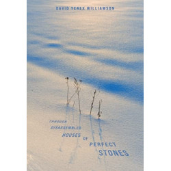 Through Disassembled Houses of Perfect Stones