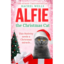 Alfie the Christmas Cat