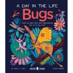 Bugs (A Day in the Life): What Do Bees, Ants, and Dragonflies Get up to All Day?