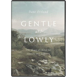 Gentle and Lowly Video Study