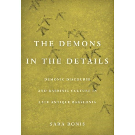 Demons in the Details: Demonic Discourse and Rabbinic Culture in Late Antique Babylonia