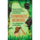 Chimpanzee Memoirs: Stories of Studying and Saving Our Closest Living Relatives