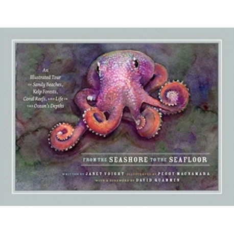 From the Seashore to the Seafloor: An Illustrated Tour of Sandy Beaches, Kelp Forests, Coral Reefs, and Life in the Ocean's Depths