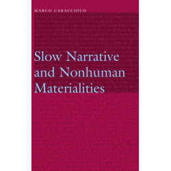 Slow Narrative and Nonhuman Materialities