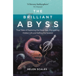 The Brilliant Abyss: True Tales of Exploring the Deep Sea, Discovering Hidden Life and Selling the Seabed