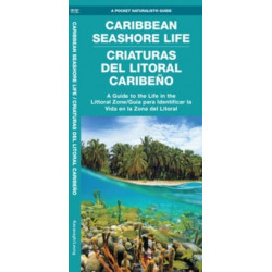 Caribbean Seashore Life / Criaturas del Litoral Caribeno: A Guide to the Life in the Littoral Zone (Bilingual)