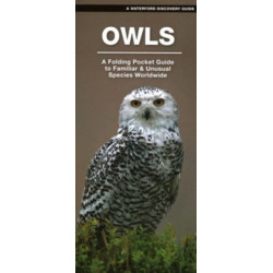 Owls: A Folding Pocket Guide to Familiar Species Worldwide
