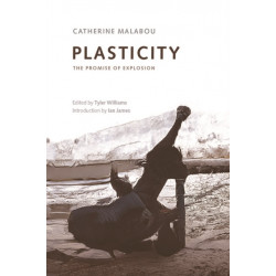 Plasticity: The Promise of Explosion
