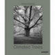 Olmsted Trees (Bilingual edition): Stanley Greenberg