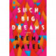 Such Big Dreams: A Novel