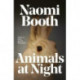 Animals at Night