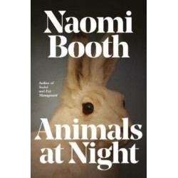 Animals at Night