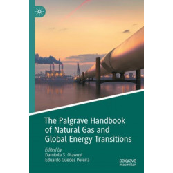 The Palgrave Handbook of Natural Gas and Global Energy Transitions