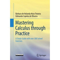 Mastering Calculus through Practice: A Study Guide with over 300 Solved Exercises