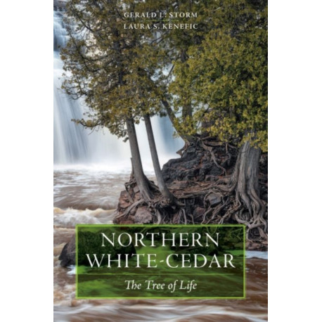 Northern White-Cedar: The Tree of Life