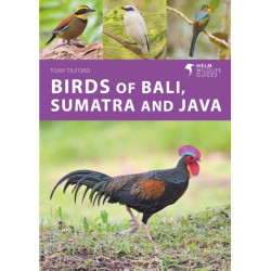 Birds of Bali, Sumatra and Java