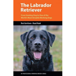 The Labrador Retriever: From Hunting Dog to One of the World's Most Versatile Working Dogs